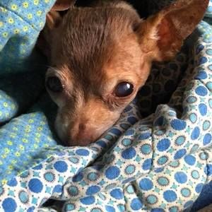 Meet your Posher, Rebecca